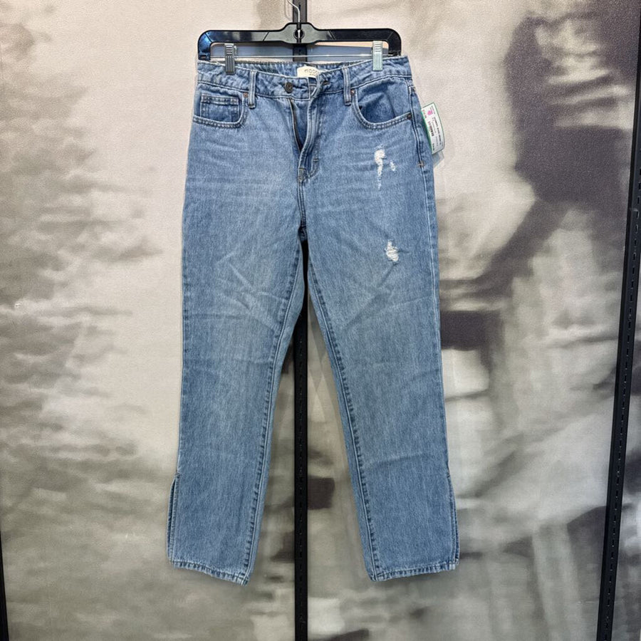 HIDDEN WOMEN'S JEANS 2