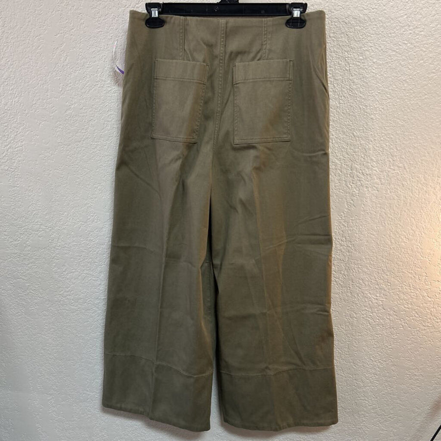 Spanx WOMEN'S PANTS XL