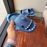 BOY'S FOOTWEAR 9/10