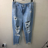 AMERICAN EAGLE WOMEN'S JEANS 14L