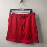 Jordan MEN'S SHORTS L
