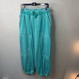 FILLY FLAIR WOMEN'S PANTS L
