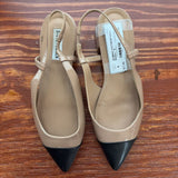 Steve Madden WOMEN'S FOOTWEAR 10